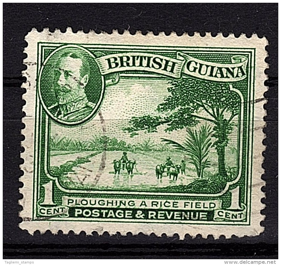 British Guiana, 1934,  SG 288, Used (Wmk Mult Script Crown CA) - British Guiana (...-1966)