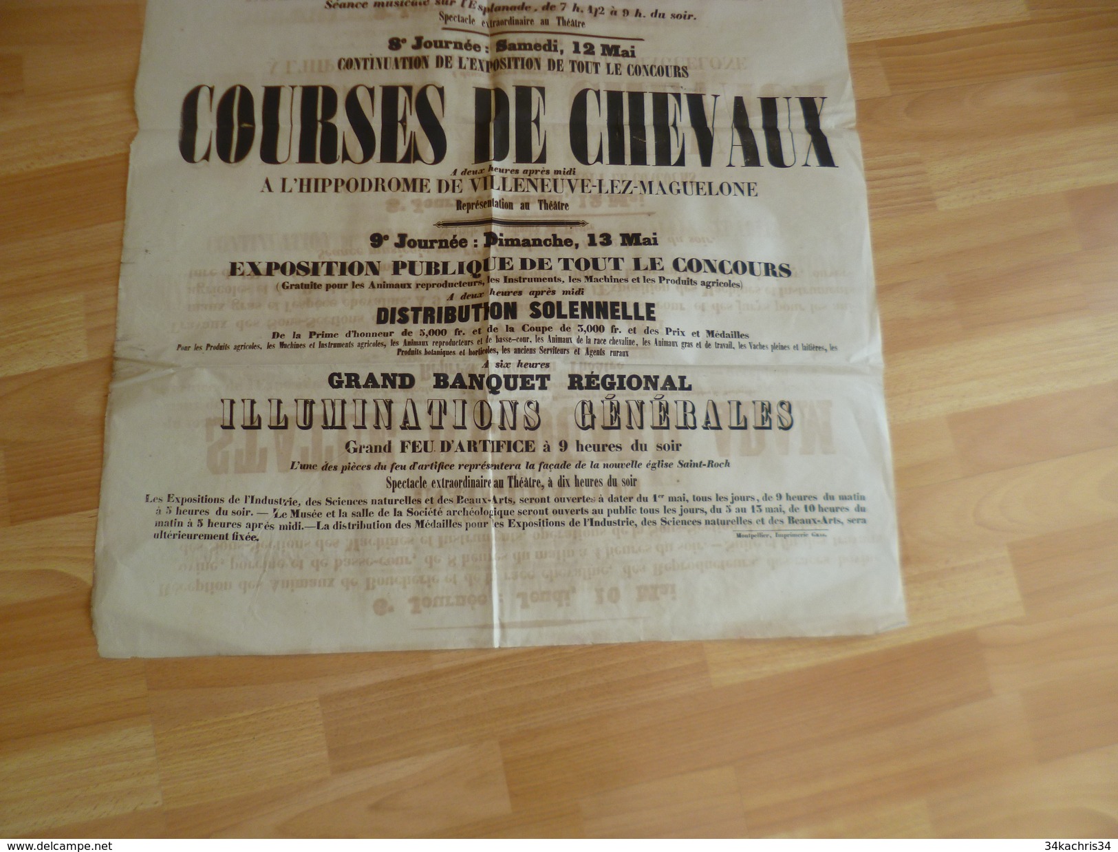 Affiche Montpellier Mai 1860 Inauguration Statue E.Adam Et Course De Chevaux Et Exposition Agricole Animaux, ....i - Afiches