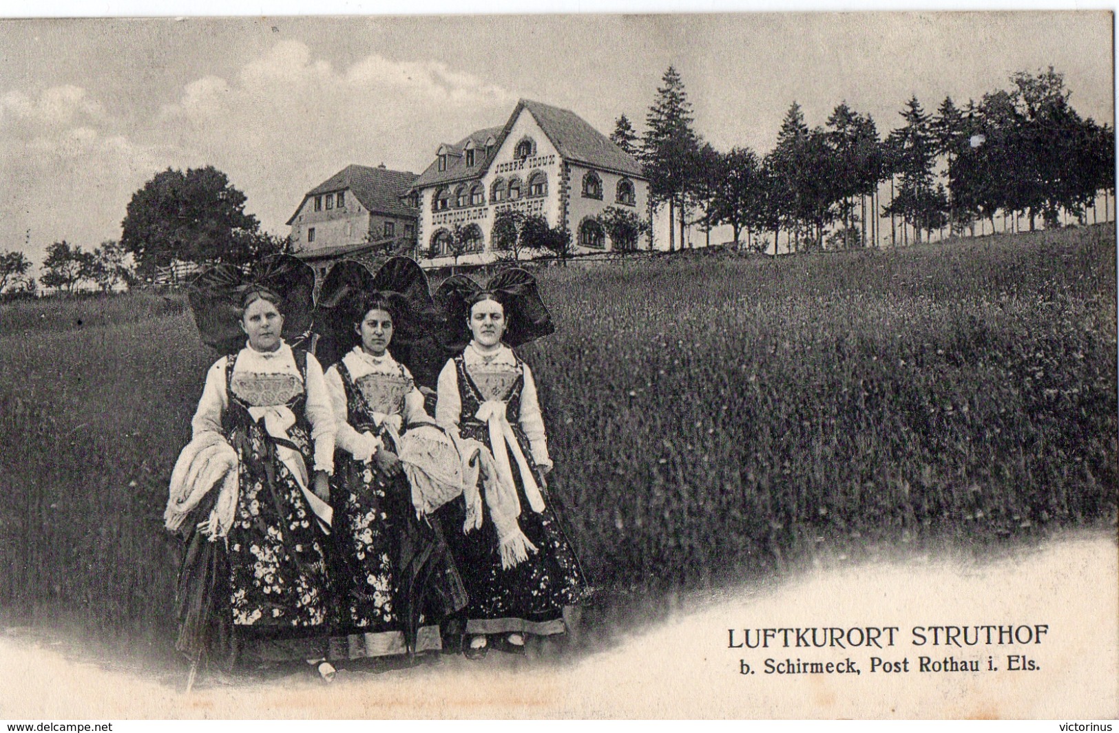 LUFTKURORT STRUTHOF  B. SCHIRMECK -  ( Poste De Rothau  I. Els. )  -  Septembre 1903 - Schirmeck