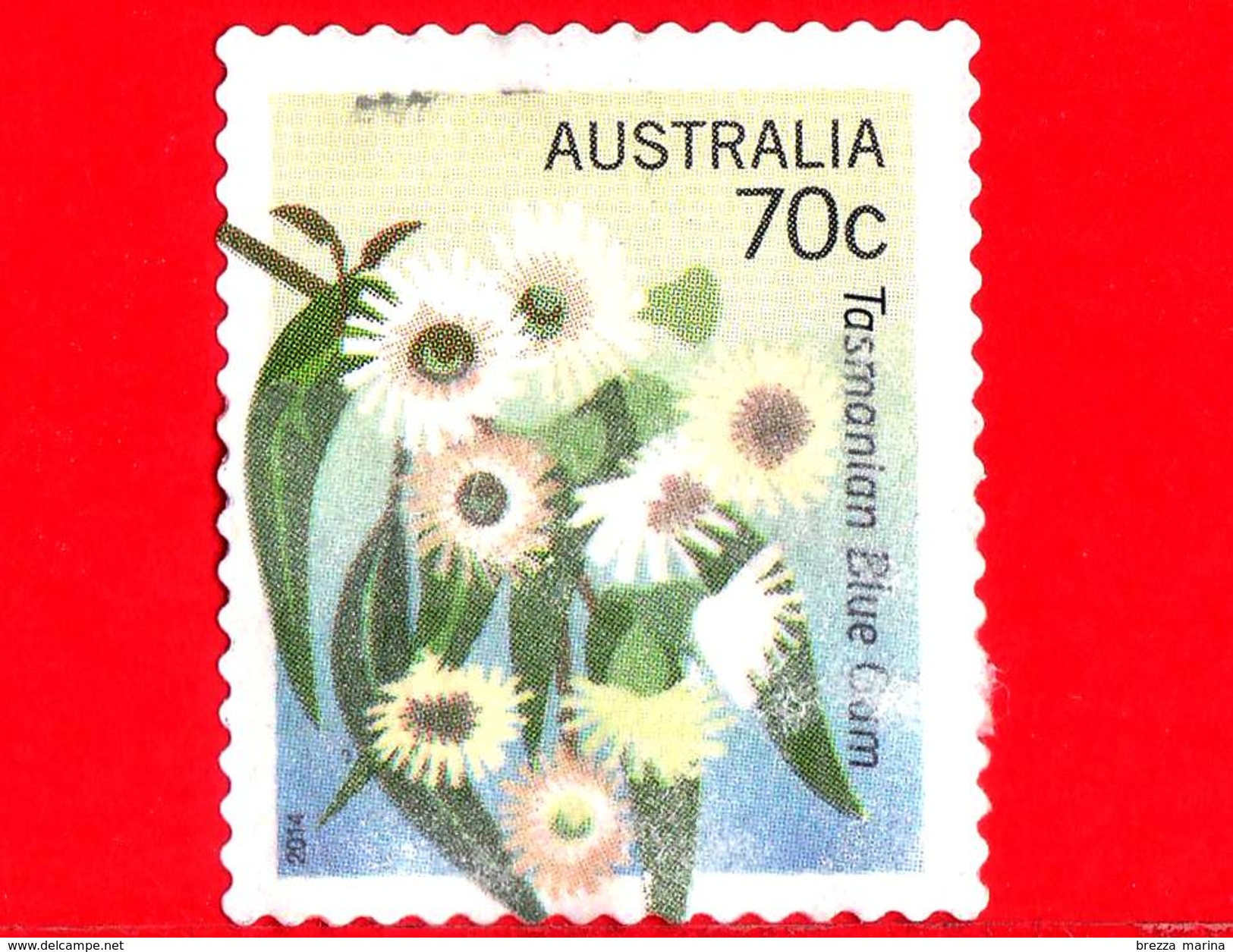 AUSTRALIA  - Usato - 2014 - Fiori - Flowers - Emblemi Floreali - Tasmanian Blue Gum - 70 - Gebruikt