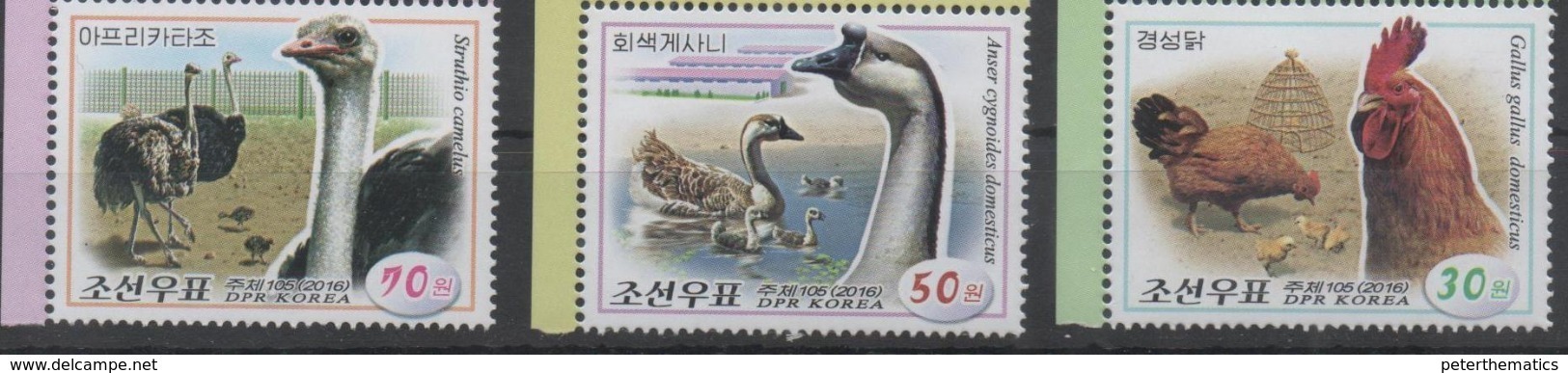 POULTRY, 2016, MNH, BIRDS, CHICKENS, OSTRICHES, DUCKS,3v - Straussen- Und Laufvögel