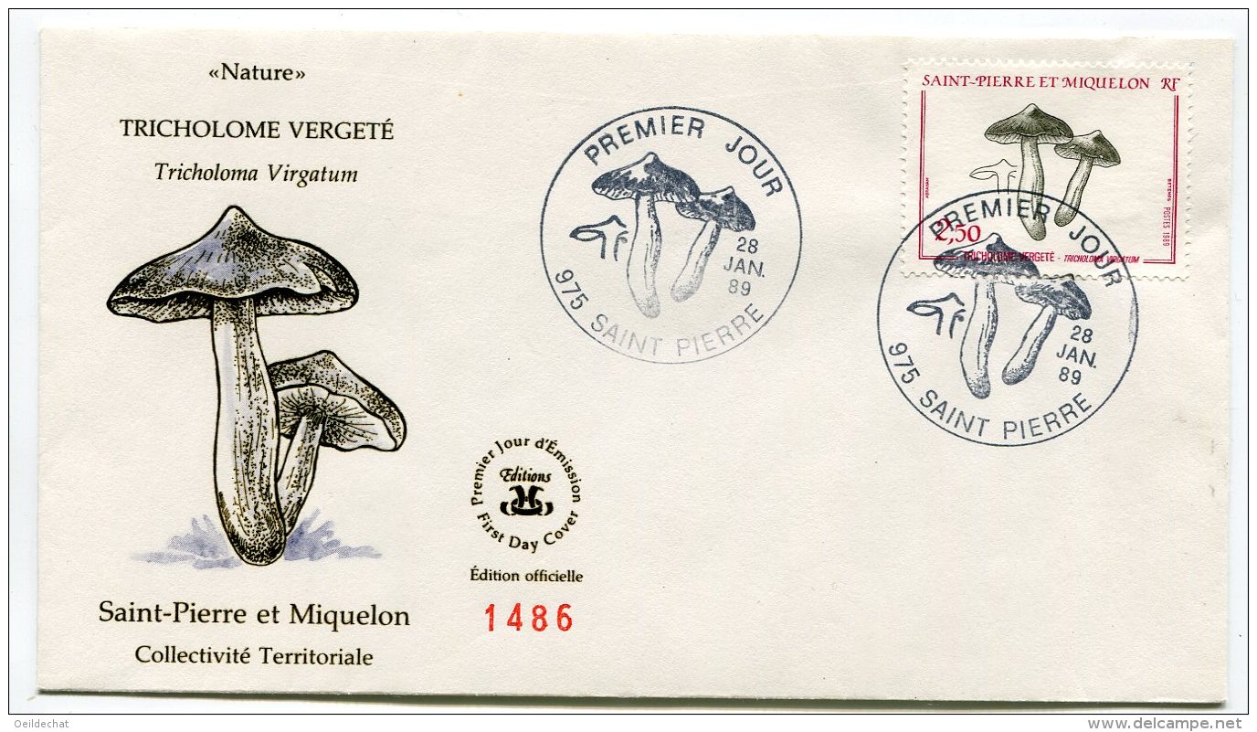 2251 - St Pierre Et Miquelon  N°497 Flore  Champignon  "Tricholome Vergeté" (Tricholoma Virgatum) FDC Du 28.1.89    TTB - FDC