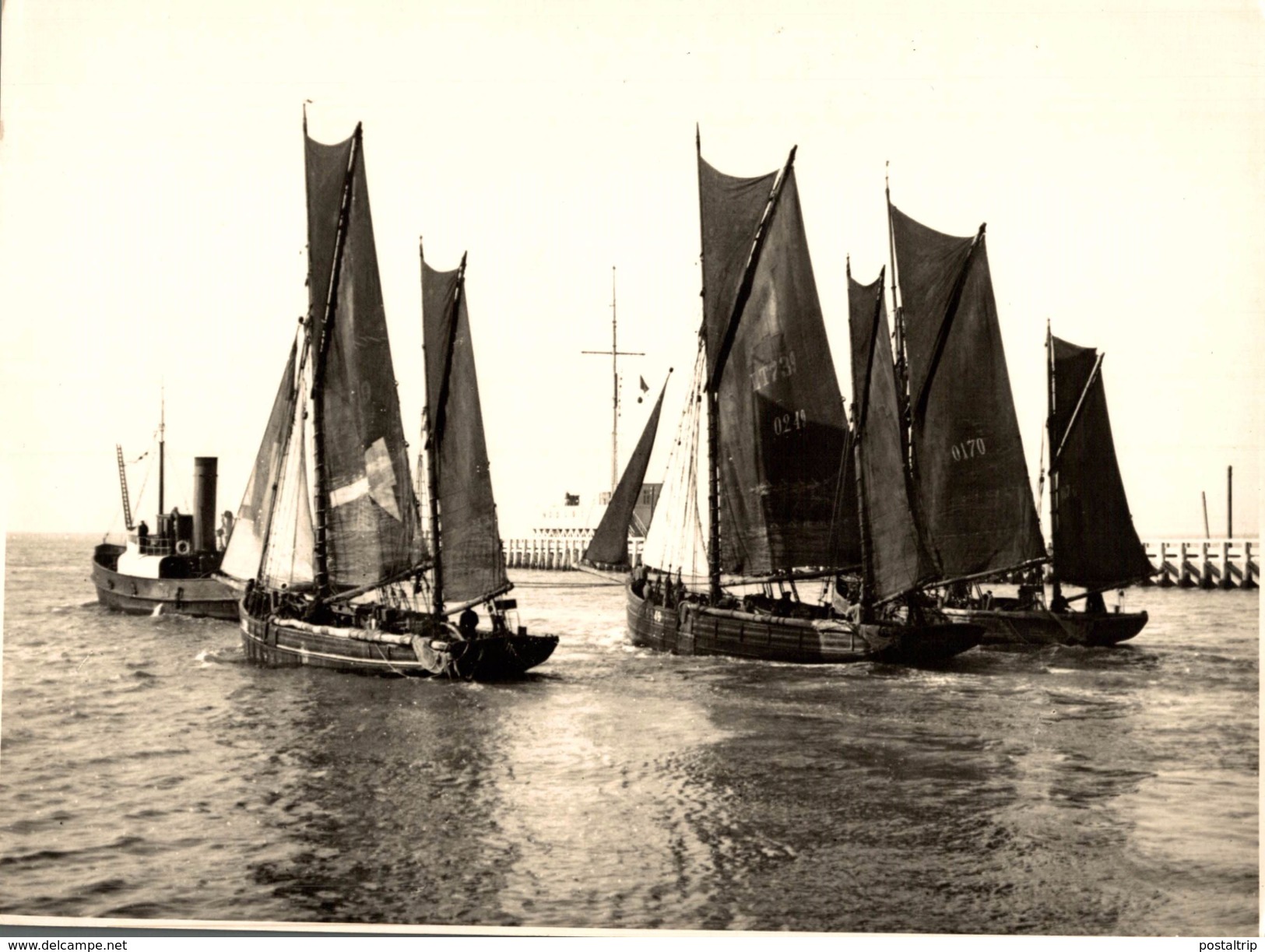 OOSTENDE VOILIER PECHEURS 1914   +- 24 * 18 CM  REAL PHOTOGRAPH BOAT BARCO  BOAT Voilier - Velero - Sailboat - Bateaux