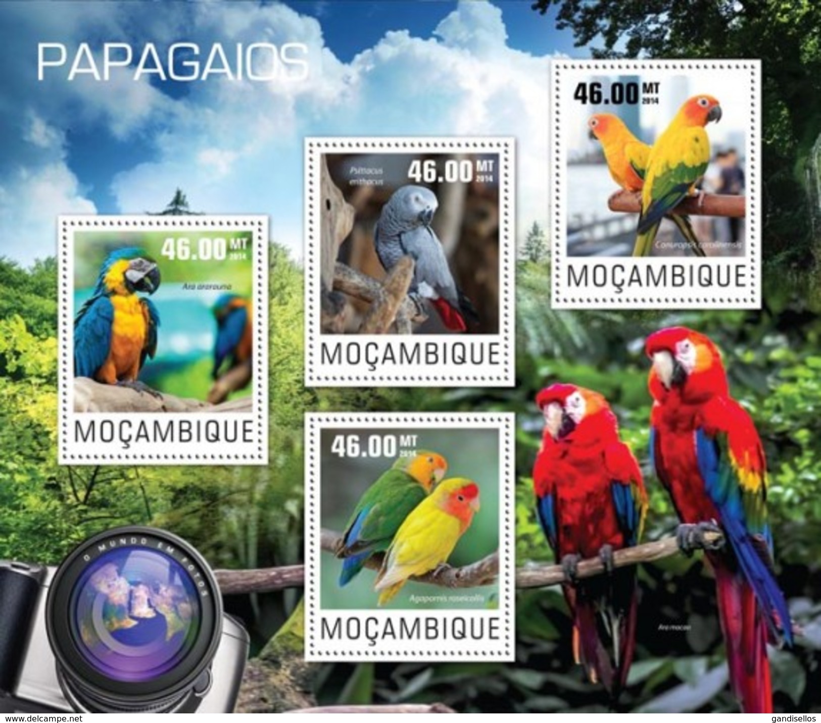 MOZAMBIQUE 2014 SHEET PARROTS PERROQUETS LOROS PAPAGAIOS PAPAGEIEN PAPPAGALLI BIRDS OISEAUX AVES Moz14417a - Mozambique