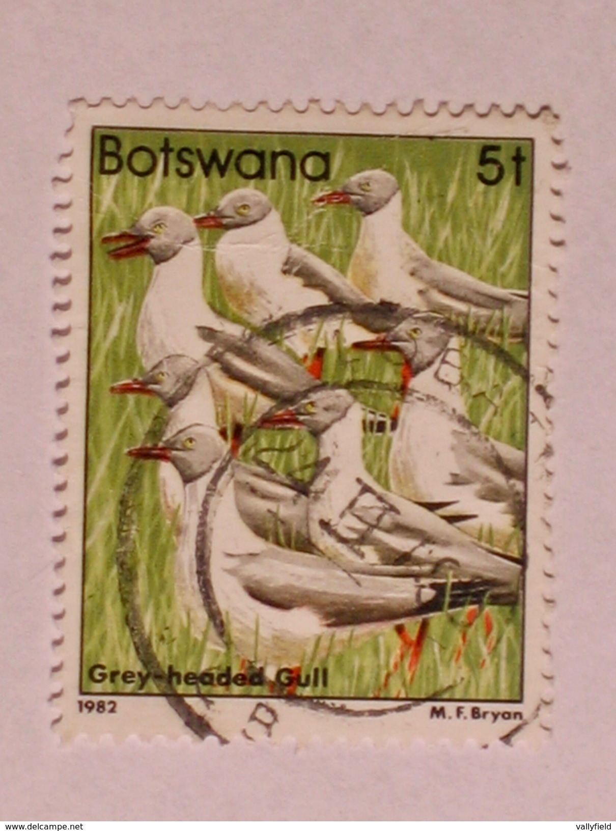 BOTSWANA 1982  LOT# 5  BIRD - Botswana (1966-...)