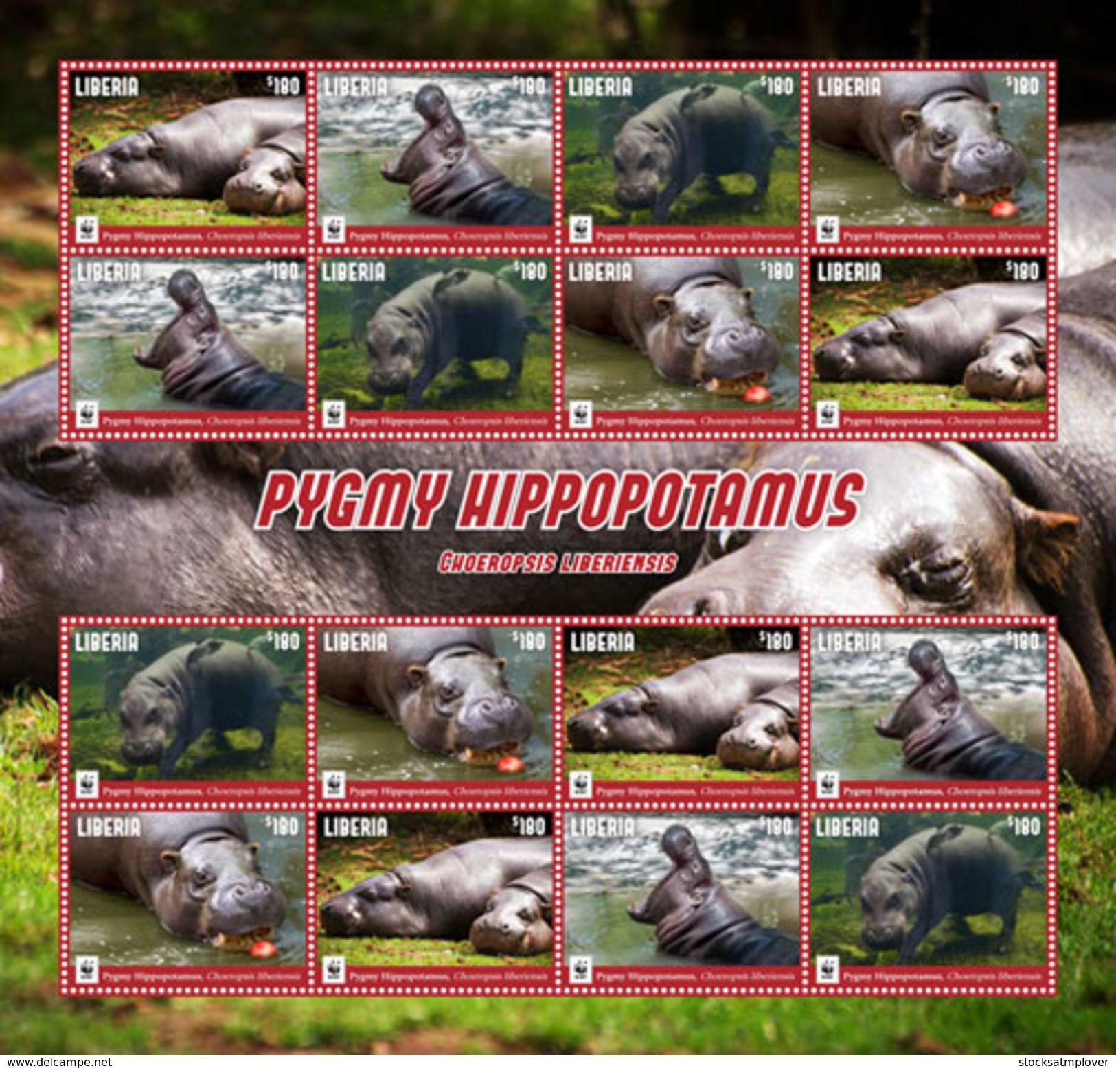 Liberia 2016 Animal Mammals Pygmy Hippopotamus WWF - Other & Unclassified