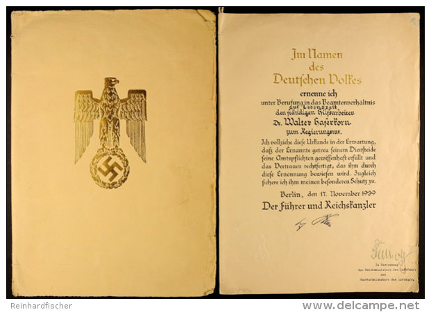 Bestallung Dr. Haferkorn Mit Unterschrift Stumpf Und Gro&szlig;em Reichssiegel, Unklarer Zusatzeintrag... - Unclassified