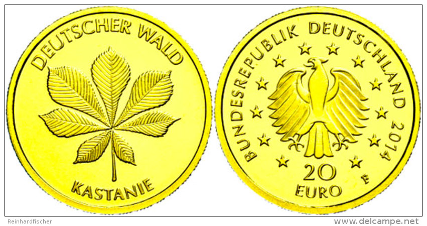 20 Euro, Gold, 2014, Kastanie, In Kapsel, Mit Zertifikat, St.  St20 Euro, Gold, 2014, Chestnut, In Capsule,... - Other & Unclassified