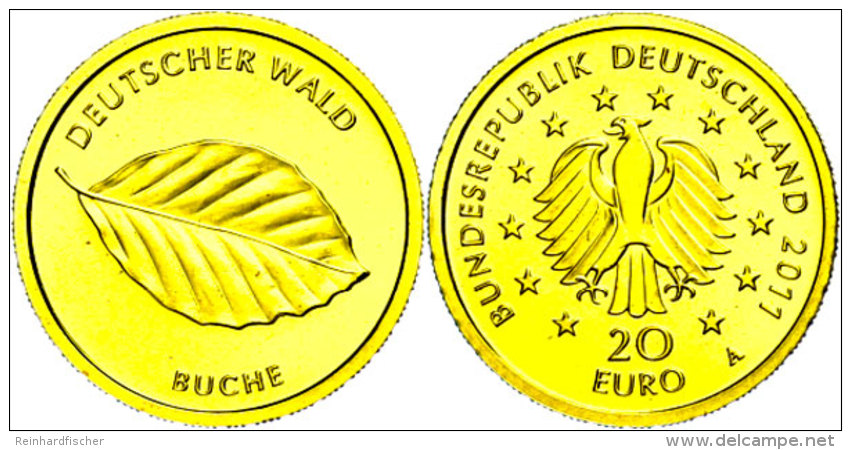 20 Euro, Gold, 2011, Buche, In Kapsel, Mit Zertifikat, St.  St20 Euro, Gold, 2011, Beech, In Capsule, With... - Other & Unclassified