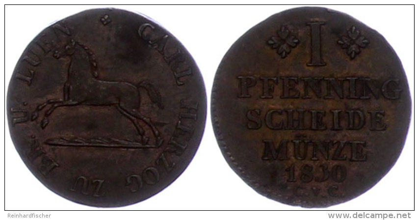 Pfennig, 1830, Karl, AKS 62, Vz-st.  SsPenny, 1830, Karl, AKS 62, Extremly Fine To Uncirculated.  Ss - Other & Unclassified