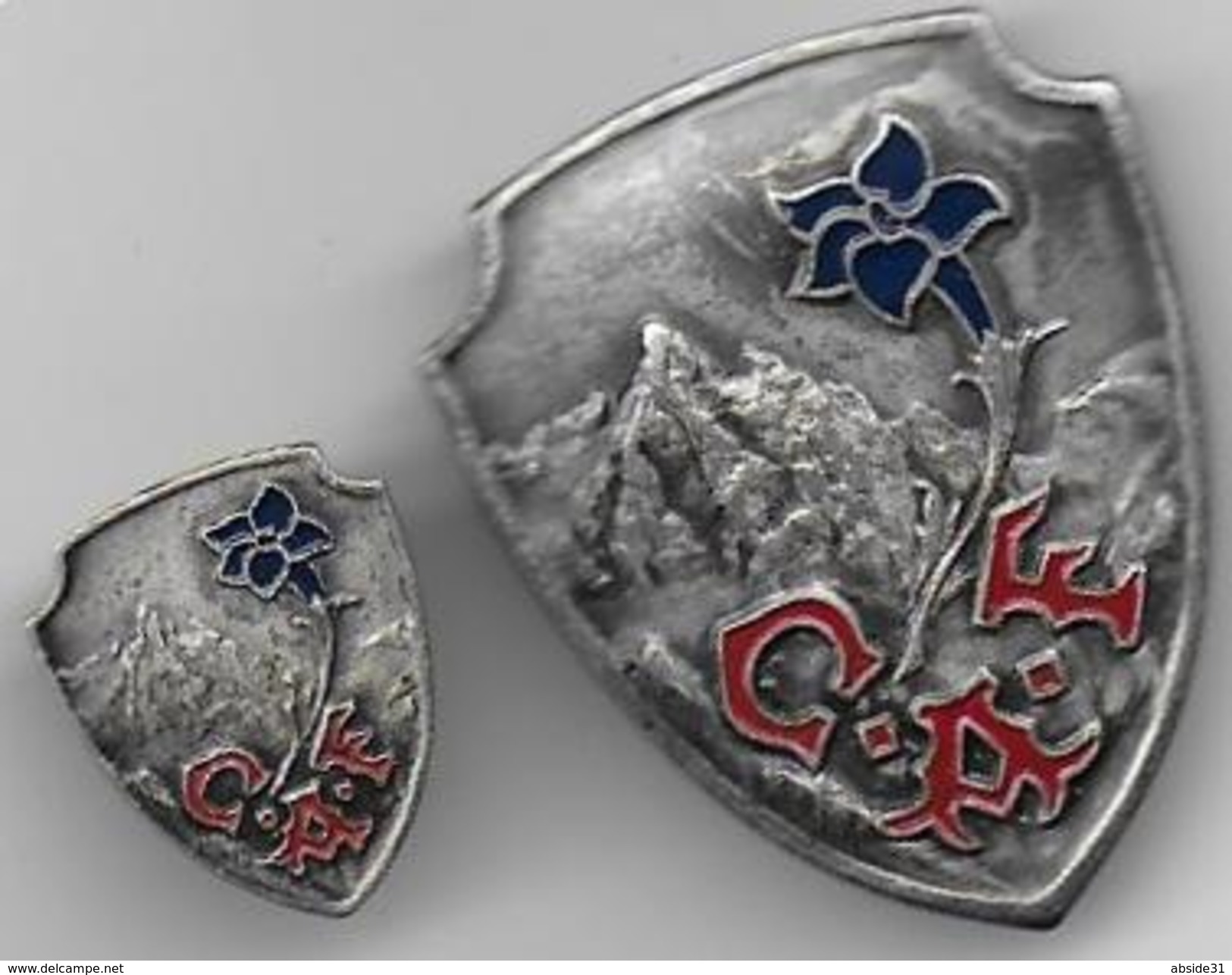 Insignes  Du CLUB ALPIN FRANCAIS ( 36mm X 30 Mm ) Et ( 19 Mm X 15 Mm ) - Autres & Non Classés