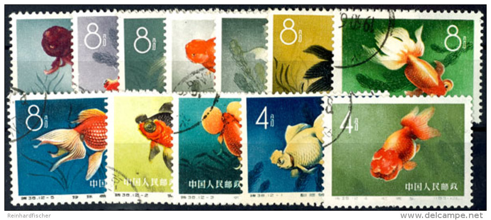 Goldfische, Tadellos, Gestempelt, Mi. 150,-, Katalog: 534/45 OGoldfish, In Perfect Condition, Used, Michel... - Other & Unclassified