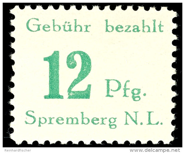 12 Pf. Mit Plattenfehler XII, Postfrisch, Mi. 280,-, Katalog: 24AXII **12 Pf. With Plate Flaw XII, Mint Never... - Spremberg