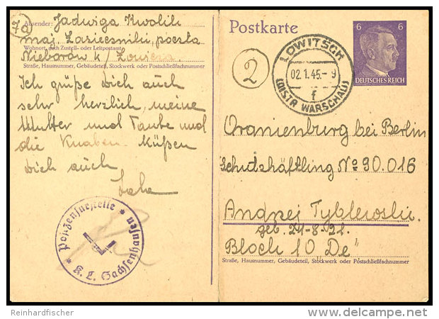 Sachsenhausen: 1945, 6 Pfg. Hitler Ganzsachenkarte Gebraucht Aus LOWITSCH 2.1.45 An Einen Schutzh&auml;ftling Des... - Other & Unclassified