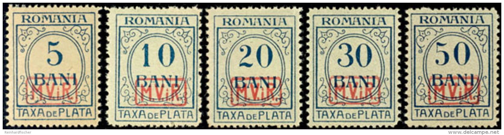 Portomarken Ohne WZ. Kpl. Tadellos Postfrisch, Mi. 400.-, Katalog: 1/5 **Postage Due Stamps Without Watermark.... - Other & Unclassified