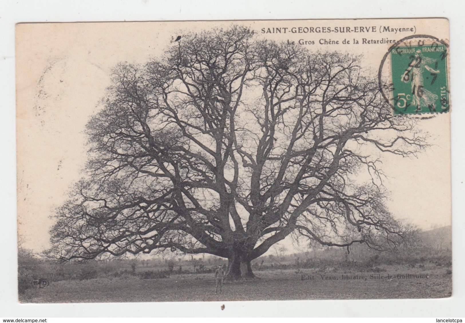 53 - SAINT GEORGES SUR ERVE / LE GROS CHENE DE LA RETARDIERE (ARBRE) - Other & Unclassified