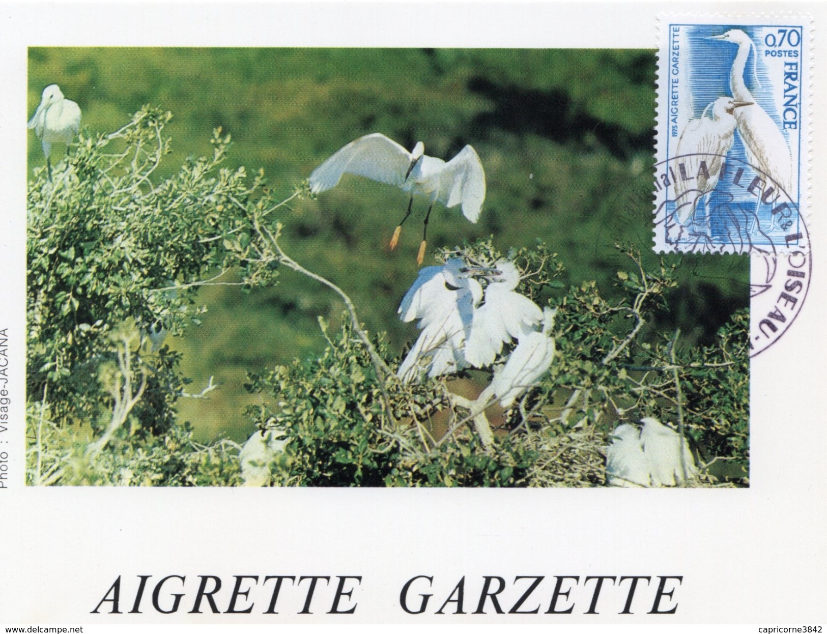 1976 - CM - 2eme SALON INTERNATIONAL LA FLEUR ET L'OISEAU à Caen - AIGRETTE GARZETTE - Tp N° 1820 - Cachets Commémoratifs