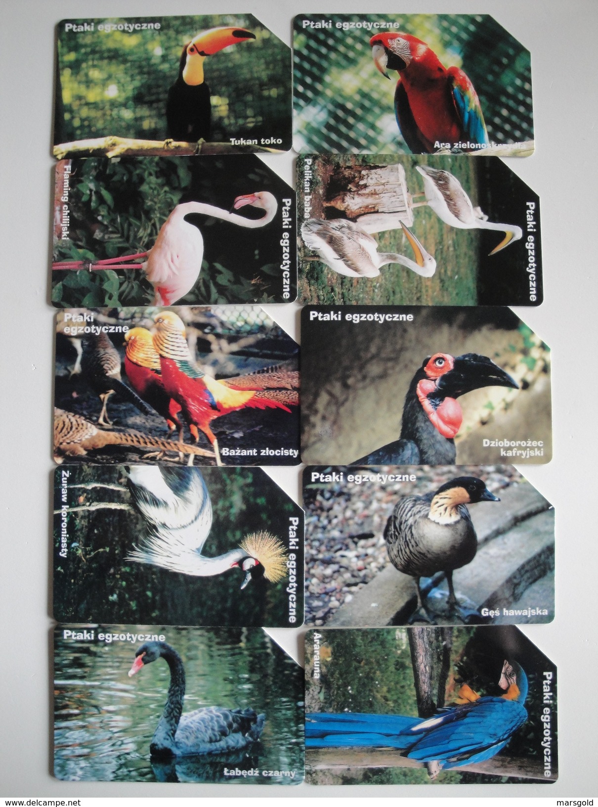 10 Urmet Phonecards From Poland - Birds - Polen