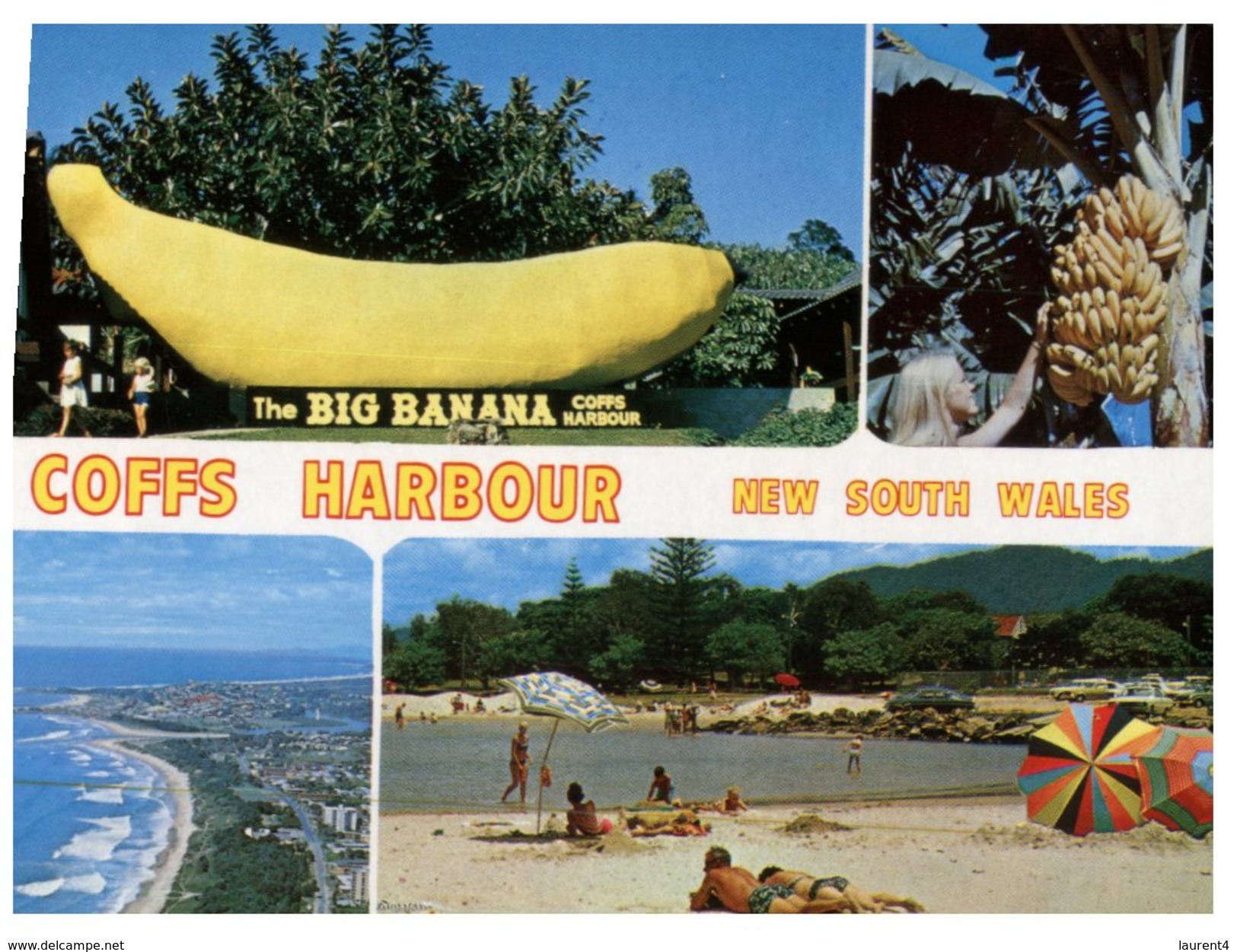 (989) Australia - NSW - Coffs Harbour And Big Banana - Coffs Harbour