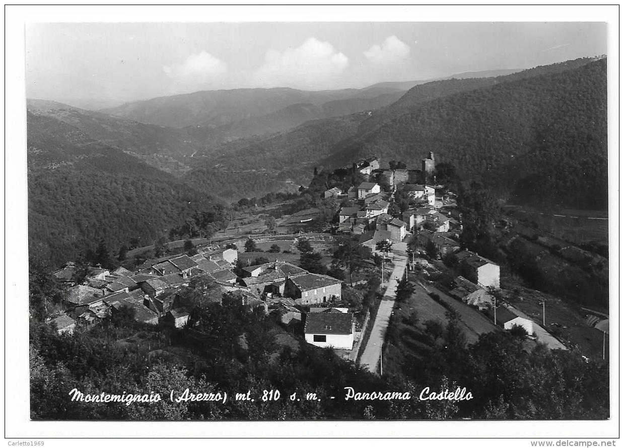 MONTEMIGNAIO PANORAMA CASTELLO  NV  FG - Arezzo