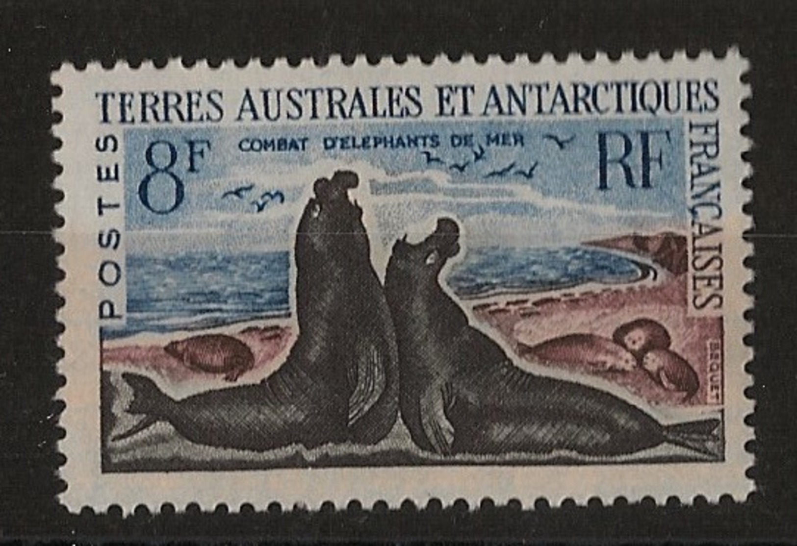 TAAF N°Yv. 13C - Elephants De Mer - Neuf Luxe ** - MNH - Postfrisch - Neufs