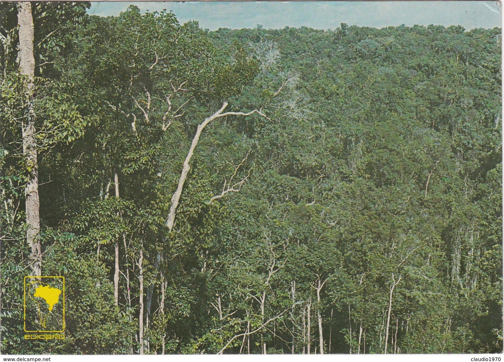 Cartolina - Postcard    - BRASILE - VISTA PANORAMICA - MANAUS - Manaus
