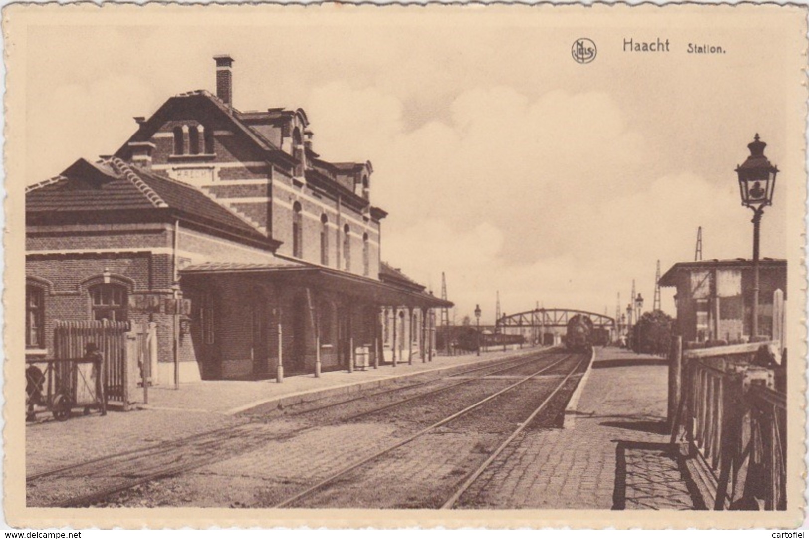 HAACHT-STATION-GARE-TREIN-DRUKKERIJ-COOP-BORMANS-NIET VERSTUURD- 2 SCANS-RARE ! ! ! - Haacht