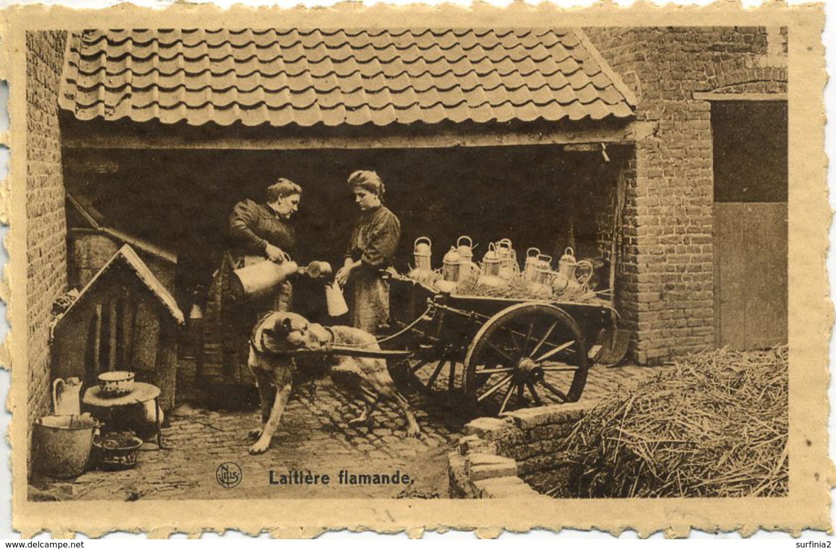 BELGIUM - LAITIERE FLAMANDE (DOG CART) B8 - Other & Unclassified