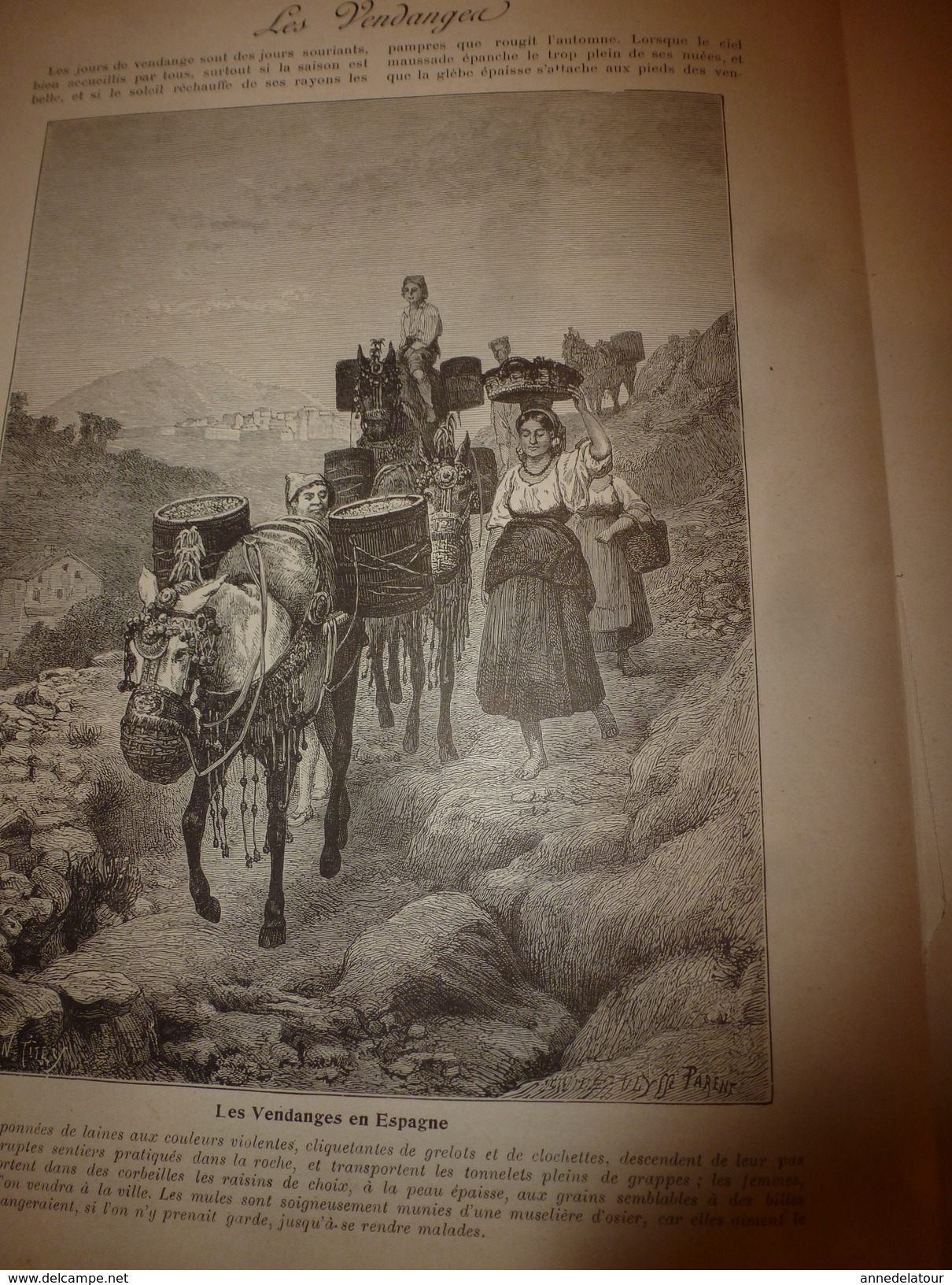 1901:Les faïences françaises;Pays de Cocagne;Château Miramar;Vendanges en Espagne et en France;La Rochelle;Habits 18e s