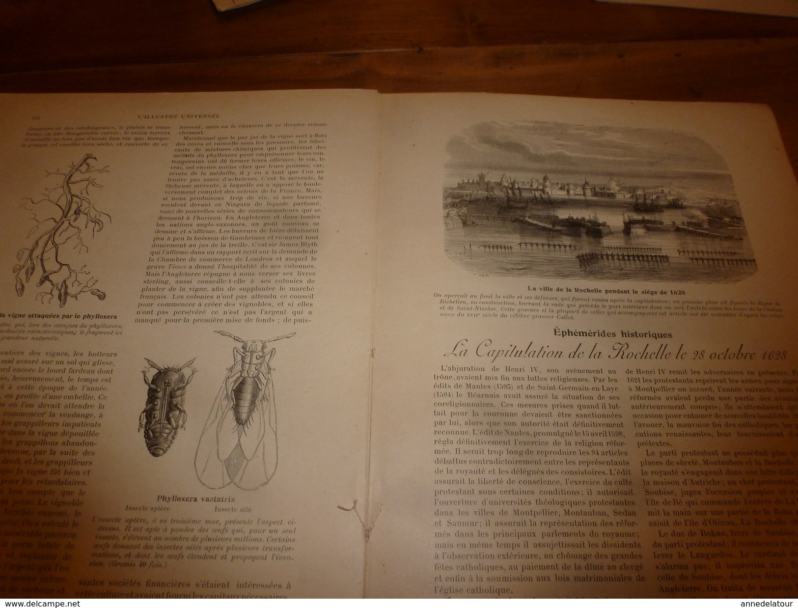 1901:Les faïences françaises;Pays de Cocagne;Château Miramar;Vendanges en Espagne et en France;La Rochelle;Habits 18e s