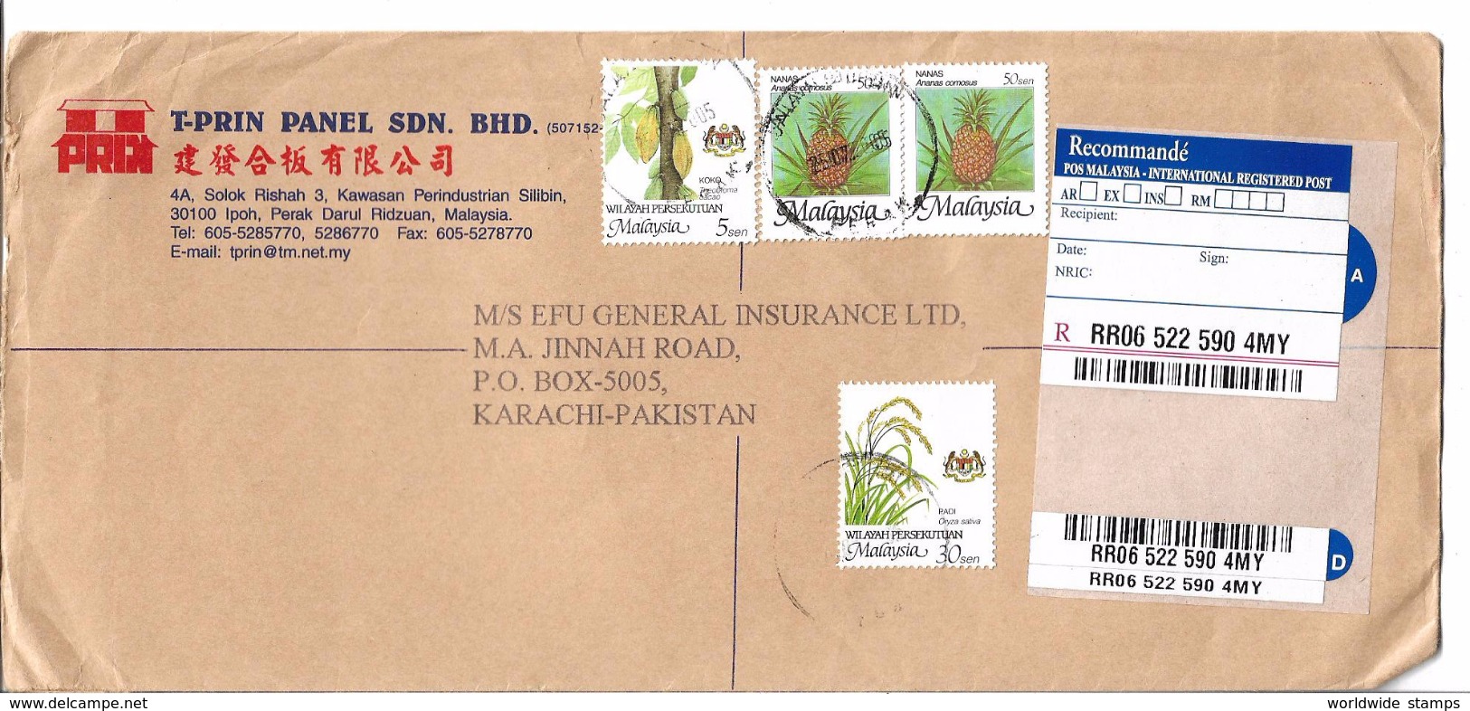 Malaysia Registered Airmail 1994 Tropical Fruits- Ananas Comosus, Nanas 50 Sen, Agro-Based Products Of Malaysia - Frutta