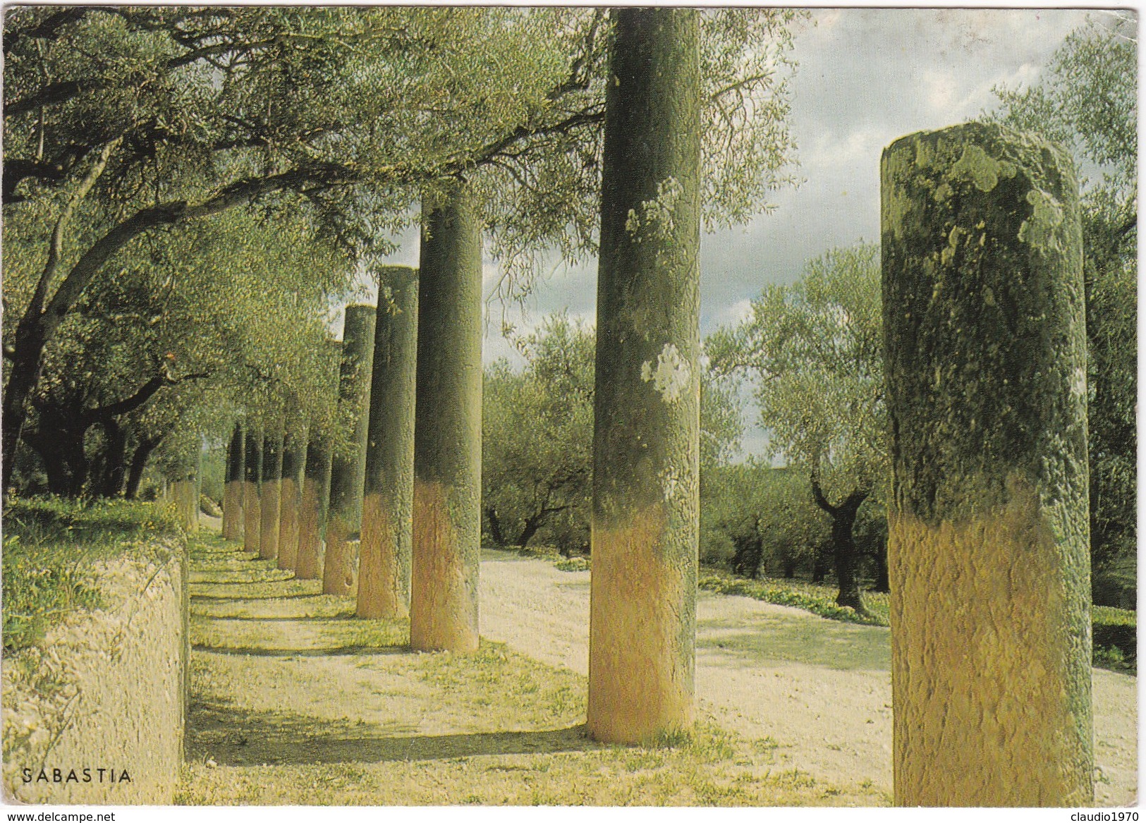 Cartolina - Postcard  - ISRAELE - SEBASTIA,STREET OF COLUMNS - Israele