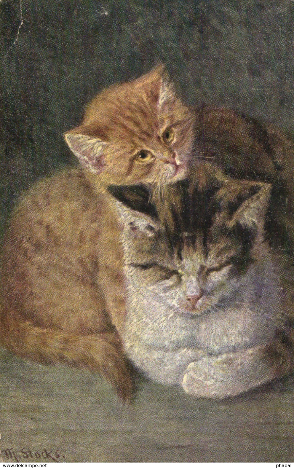 Cats, M. Stocks, Two Cute Cats, Old Postcard - Chats