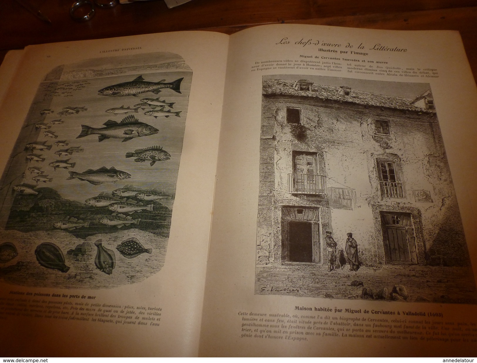 1901:  Don Quichotte, Sancho Pança, Miguel De Cervantes à Valladolid ;Vie Aux Champs; L'ENFANT Et Les CHATS; Etc - Non Classés