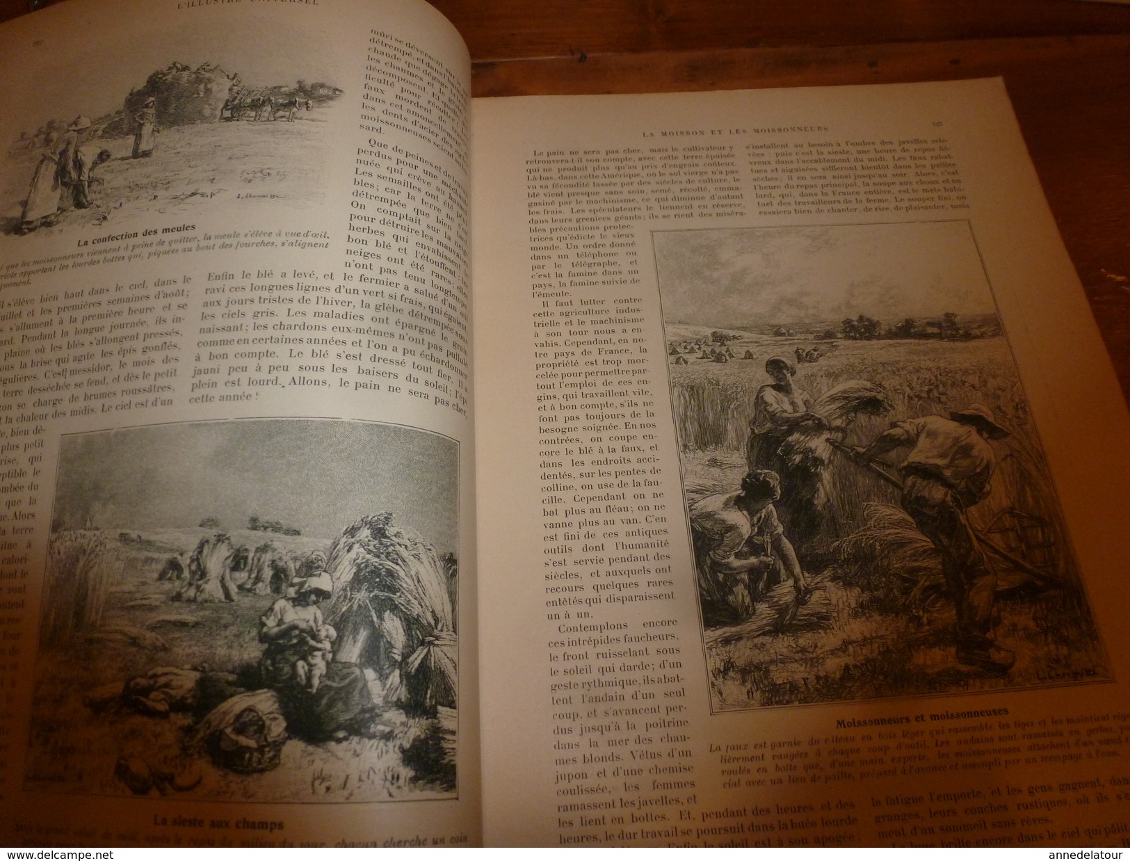 1901:  Don Quichotte, Sancho Pança, Miguel de Cervantes à Valladolid ;Vie aux champs; L'ENFANT et les CHATS; etc