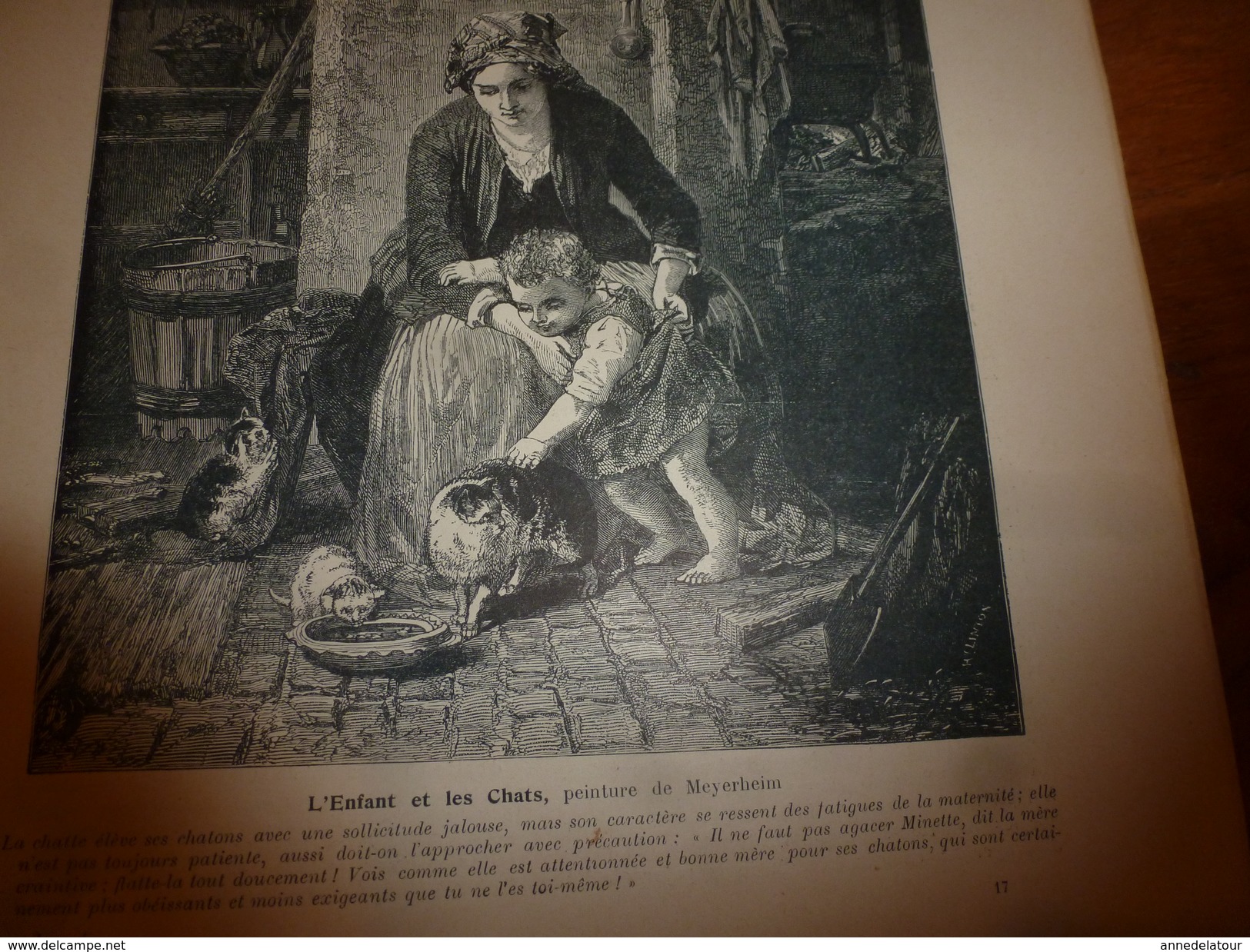 1901:  Don Quichotte, Sancho Pança, Miguel de Cervantes à Valladolid ;Vie aux champs; L'ENFANT et les CHATS; etc