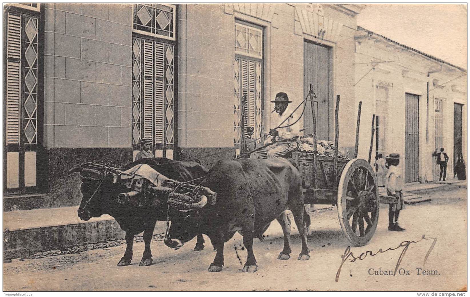 CUBA / Cuban Ox Team - Beau Cliché - Cuba