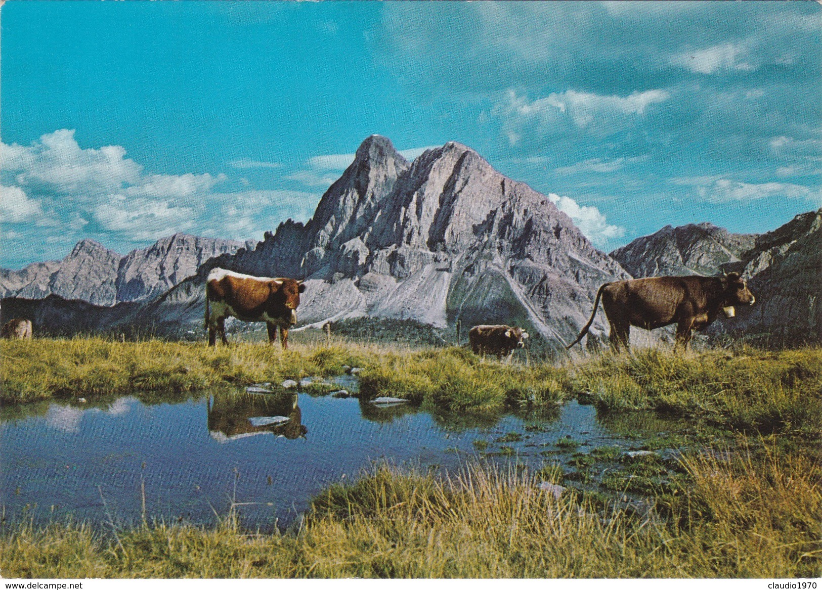 Cartolina - Postcard  - AUSTRIA - BRIXEN - PLOSE M.2020  -TIROLO - Brixen Im Thale