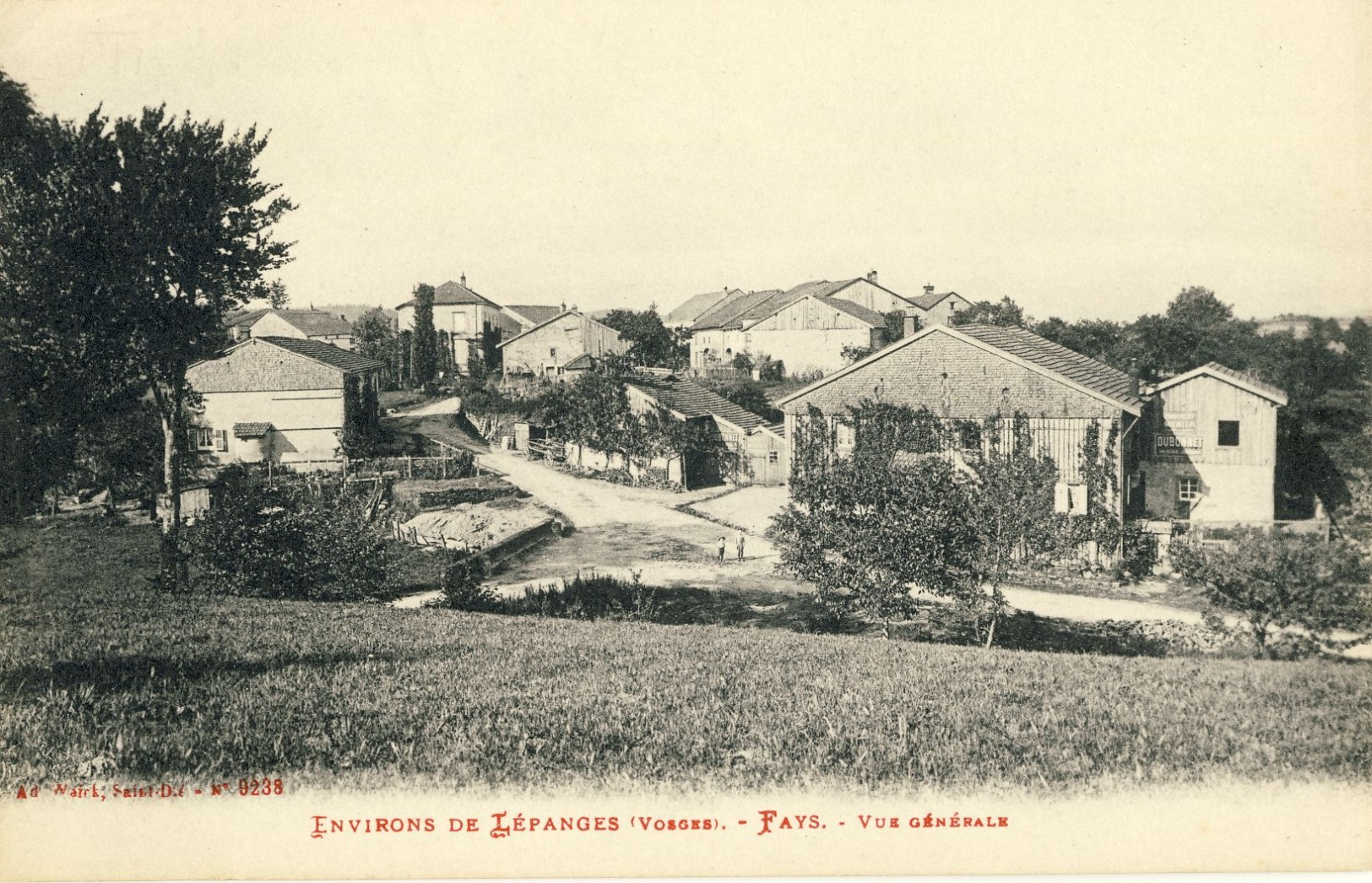 Environs De  LEPANGES (Vosges) -- FAYS -- VUE  GENERALE - Autres & Non Classés