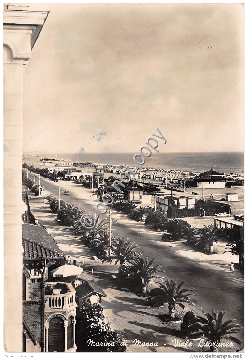 Cartolina Marina Di Massa Viale Litoraneo 1950 - Massa