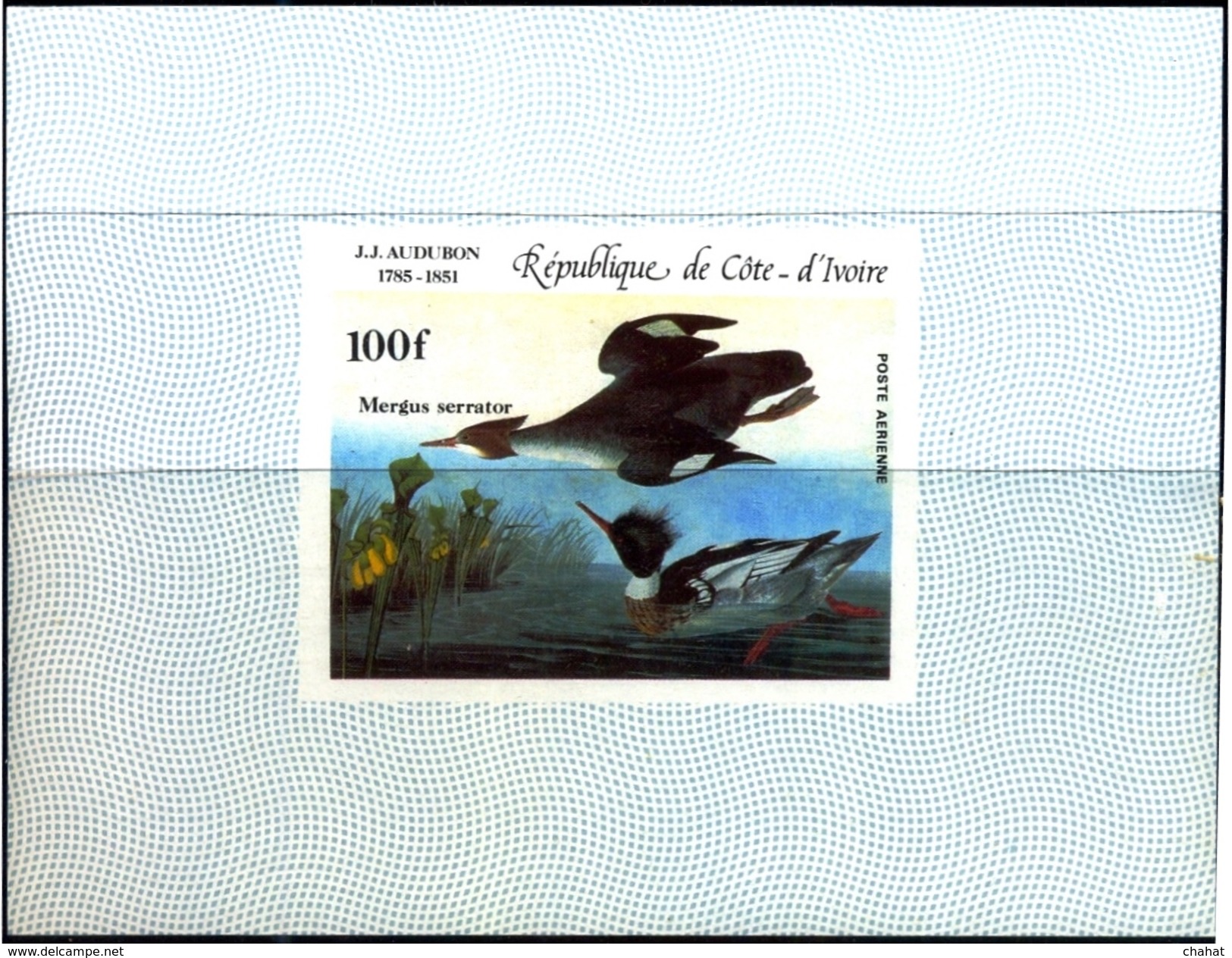 WATER BIRDS-RED BREASTED MERGANSER-J J AUDUBON-IMPERF DELUXE PROOF-IVORY COAST-1985-MNH-SCARCE-PA1-47 - Oche