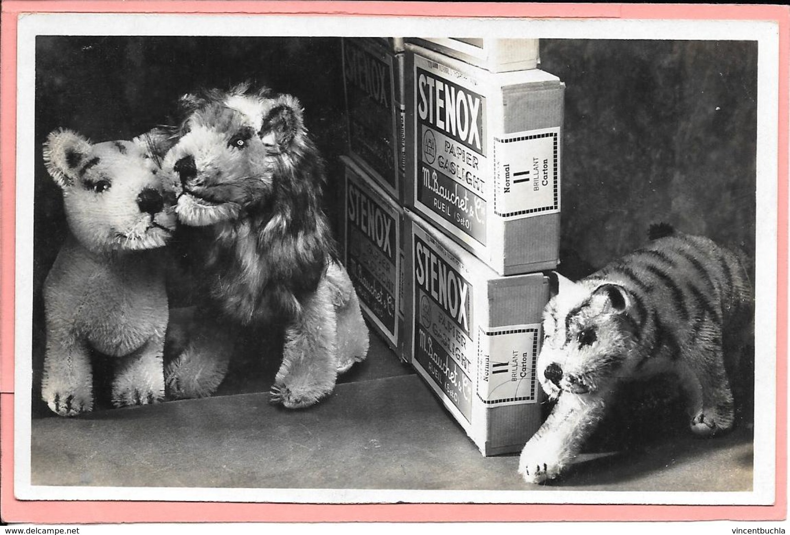 Publicité Carte Postale Pour Papier Photo Stenox Avec 3 Lions En Peluche  M. Bauchet & Cie Papier Norma - Publicité