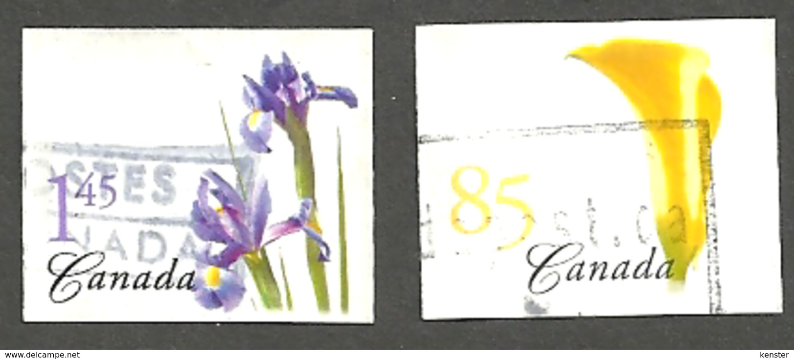 Sc. # 2081-82 Flower Yellow Calla Lily/Blue Iris Definitives Booklets 2004 Set Used  K172 - Gebraucht