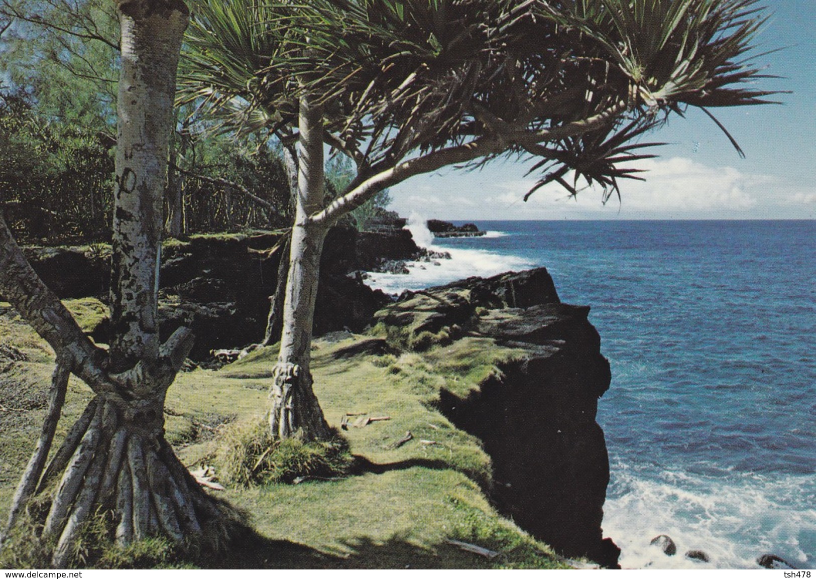 ILE DE LA REUNION--côte Sud De L'ile---VACOAS--voir 2 Scans - Autres & Non Classés