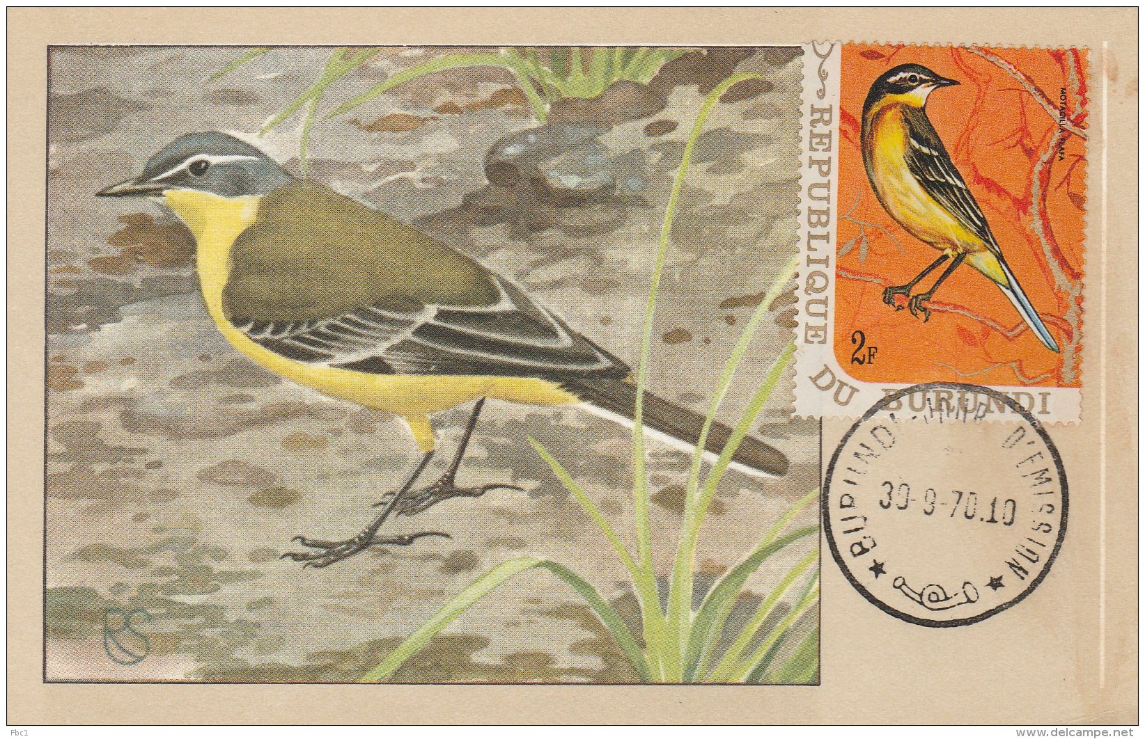 Burundi - Carte Maximum - Oiseau (Oiseaux - Bird - Birds) - Autres & Non Classés