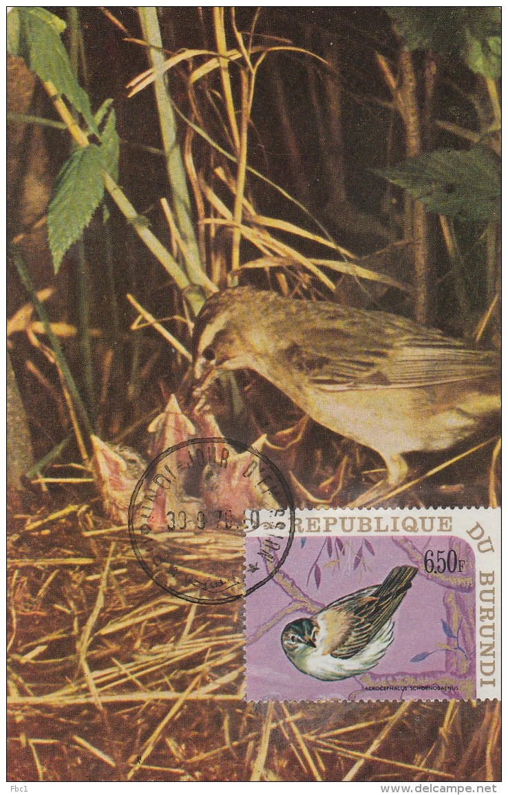 Burundi - Carte Maximum - Oiseau (Oiseaux - Bird - Birds) - Autres & Non Classés