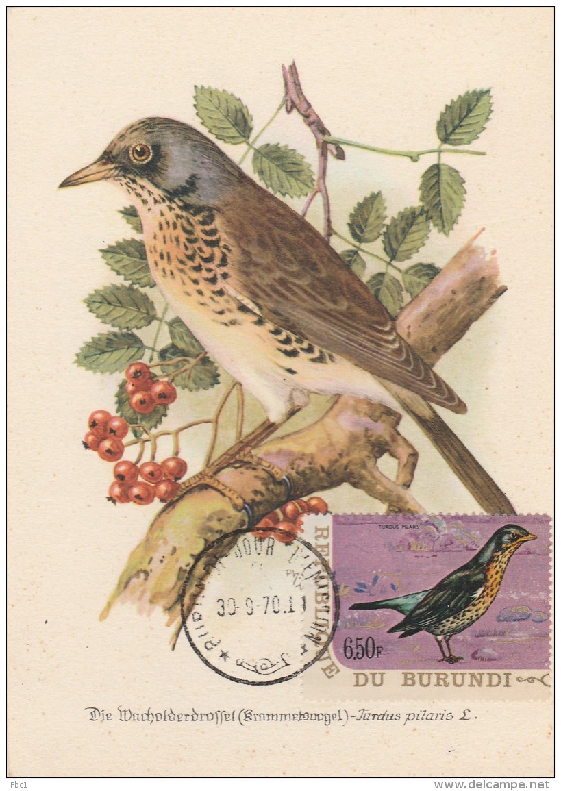 Burundi - Carte Maximum - Oiseau (Oiseaux - Bird - Birds) - Autres & Non Classés