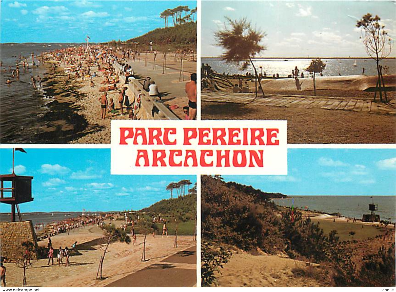 PIE-17-F-CH.1981 : ARCACHON. PARC PEREIRE - Arcachon