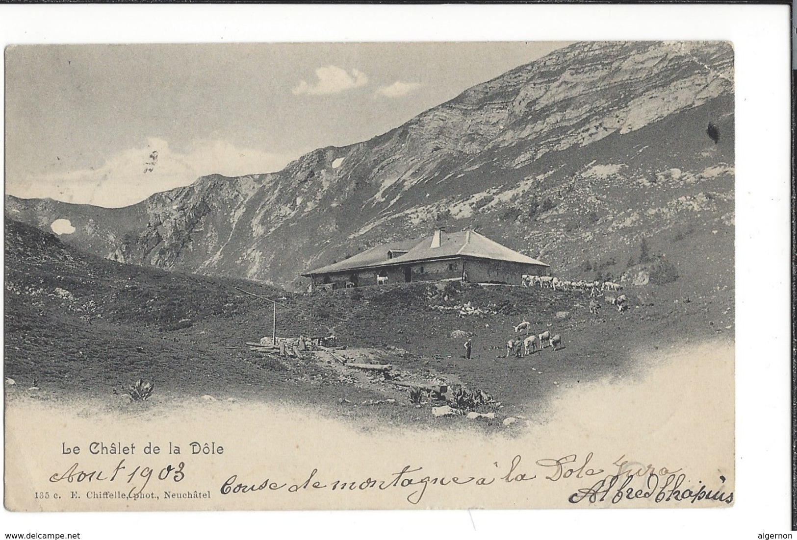 16693 -  Le Chalet De La Dôle Vaches Circulée En 1903 - Sonstige & Ohne Zuordnung
