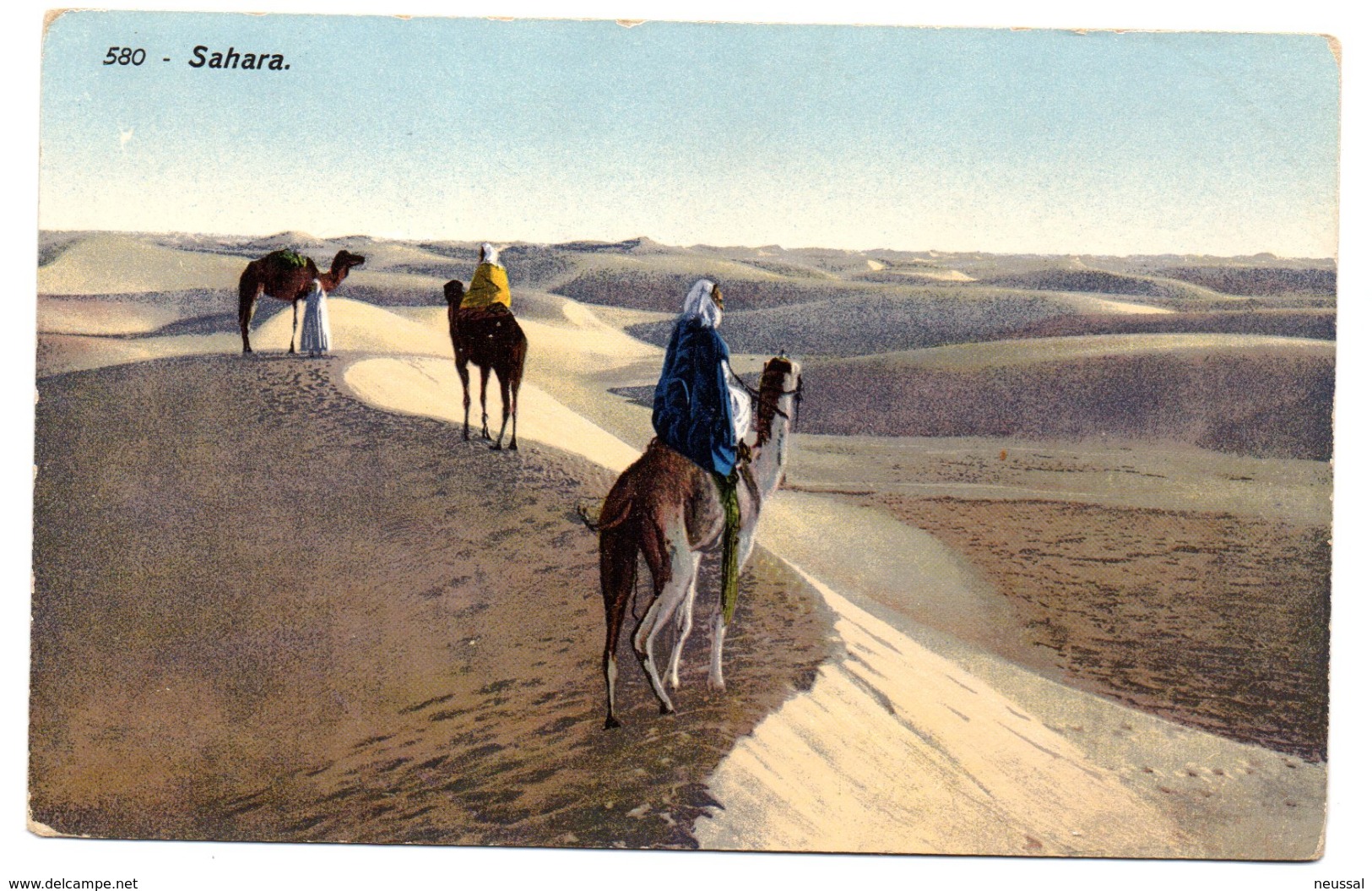 Tarjeta Postal  Sahara. - Sahara Occidental